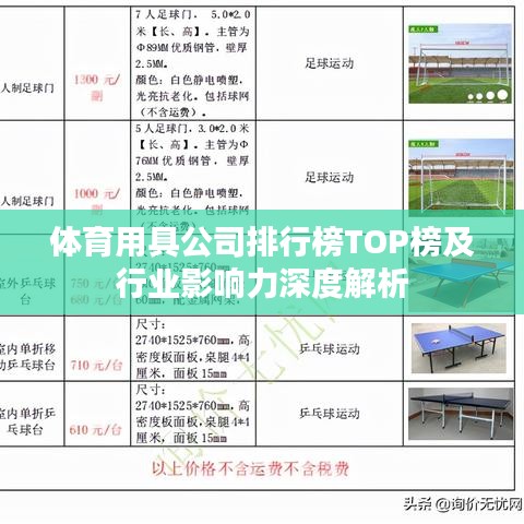 体育用具公司排行榜TOP榜及行业影响力深度解析