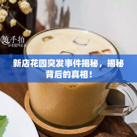 新店花园突发事件揭秘,揭秘背后的真相!