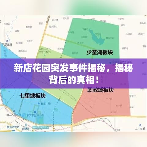 新店花园突发事件揭秘,揭秘背后的真相!