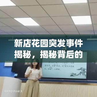 新店花园突发事件揭秘,揭秘背后的真相!