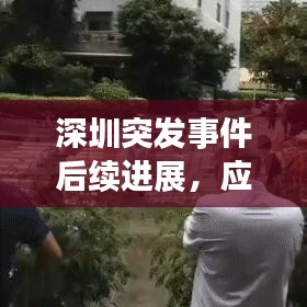 深圳突发事件后续进展，应对之道、深度反思与未来前瞻