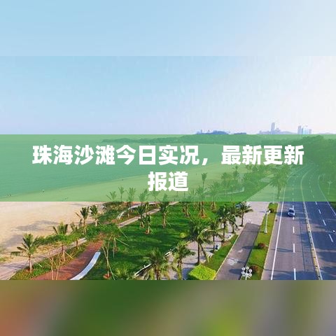 珠海沙滩今日实况,最新更新报道