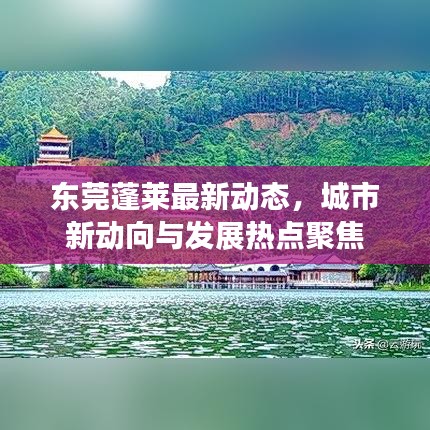 东莞蓬莱最新动态,城市新动向与发展热点聚焦