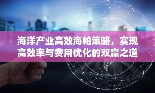 海洋产业高效海帕策略,实现高效率与费用优化的双赢之道