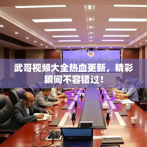 武哥视频大全热血更新，精彩瞬间不容错过！