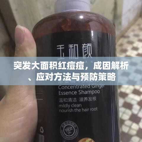 突发大面积红痘痘,成因解析、应对方法与预防策略
