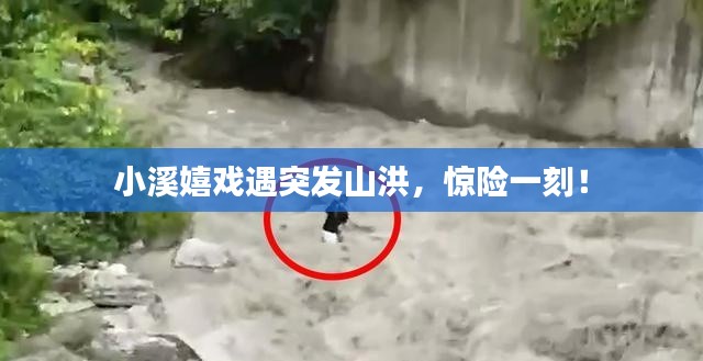 展翅高飞 第3页