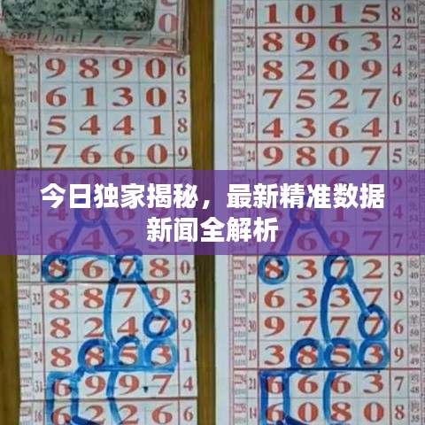 今日独家揭秘,最新精准数据新闻全解析
