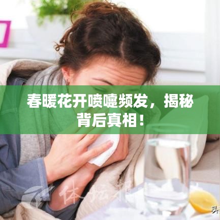 春暖花开喷嚏频发，揭秘背后真相！