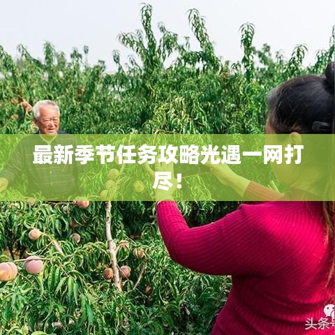 最新季节任务攻略光遇一网打尽!
