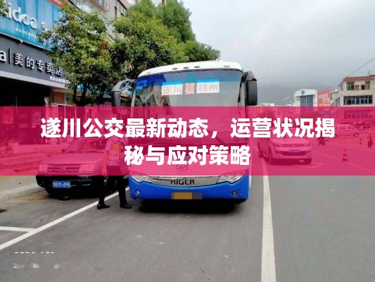 遂川公交最新动态,运营状况揭秘与应对策略
