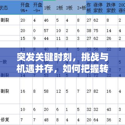 突发关键时刻,挑战与机遇并存,如何把握转折?