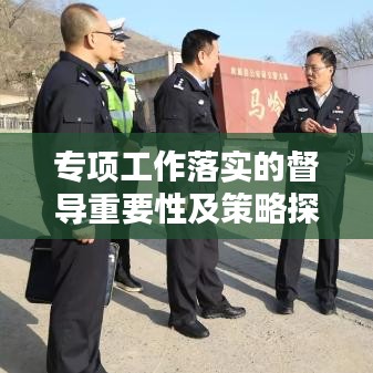 专项工作落实的督导重要性及策略探讨