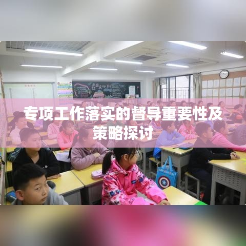 专项工作落实的督导重要性及策略探讨