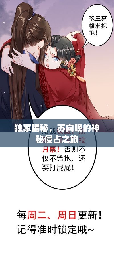 独家揭秘，苏向晚的神秘侵占之旅