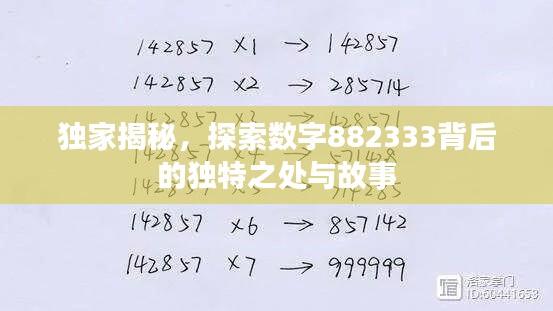 独家揭秘，探索数字882333背后的独特之处与故事