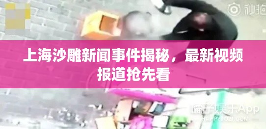 上海沙雕新闻事件揭秘，最新视频报道抢先看