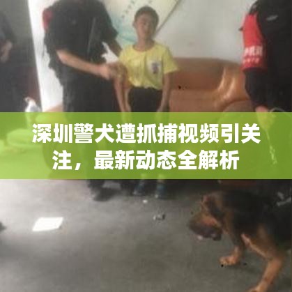 没精打采 第2页