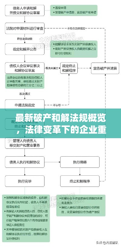 最新破产和解法规概览，法律变革下的企业重生之路