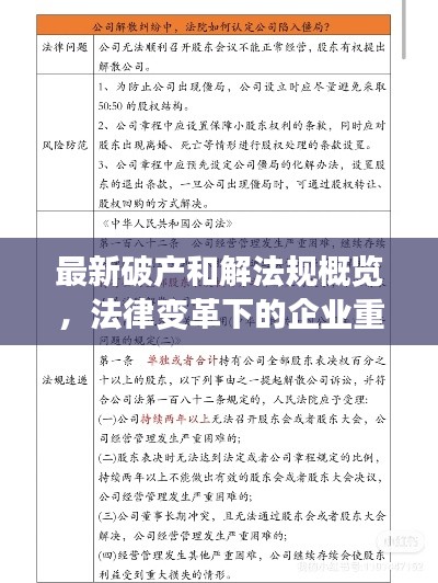 最新破产和解法规概览,法律变革下的企业重生之路