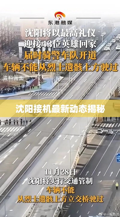 沈阳接机最新动态揭秘