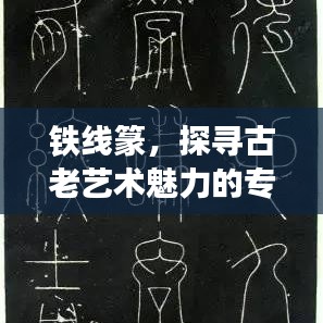 铁线篆,探寻古老艺术魅力的专题探索