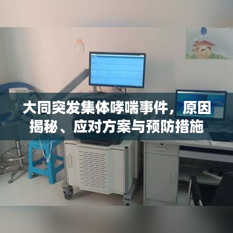 大同突发集体哮喘事件，原因揭秘、应对方案与预防措施