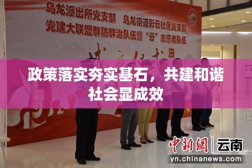 政策落实夯实基石,共建和谐社会显成效