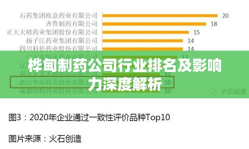 桦甸制药公司行业排名及影响力深度解析
