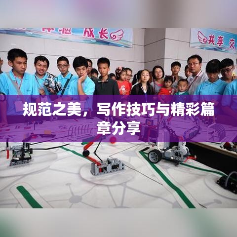 规范之美，写作技巧与精彩篇章分享