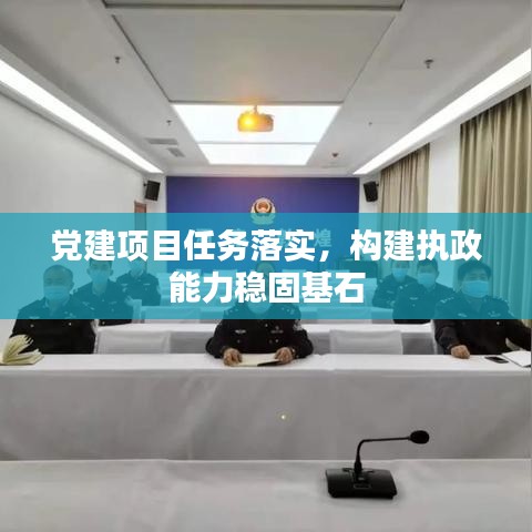 党建项目任务落实,构建执政能力稳固基石