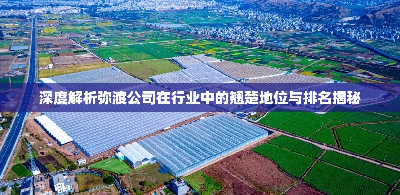 深度解析弥渡公司在行业中的翘楚地位与排名揭秘