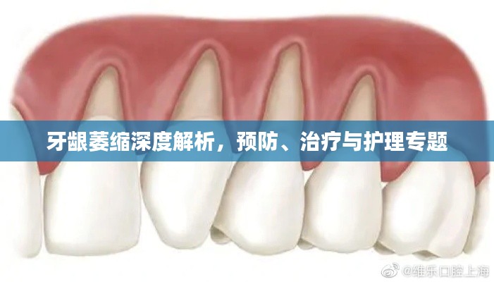 牙龈萎缩深度解析，预防、治疗与护理专题