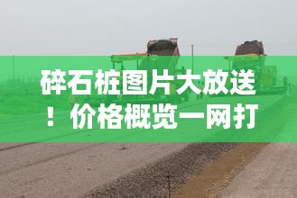 碎石桩图片大放送!价格概览一网打尽,百度带你轻松了解!