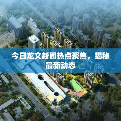 今日龙文新闻热点聚焦，揭秘最新动态