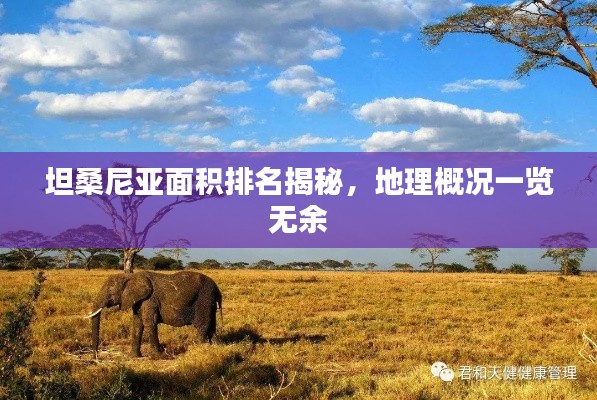 坦桑尼亚面积排名揭秘，地理概况一览无余