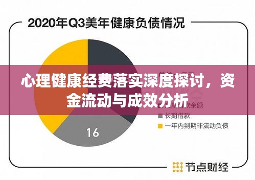 心理健康经费落实深度探讨,资金流动与成效分析
