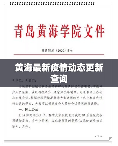 黄海最新疫情动态更新查询