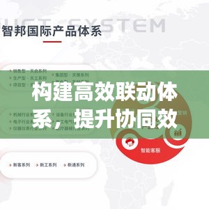 构建高效联动体系,提升协同效率的关键路径探索