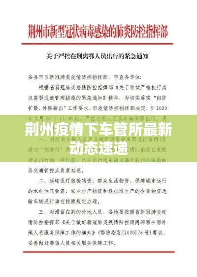 荆州疫情下车管所最新动态速递