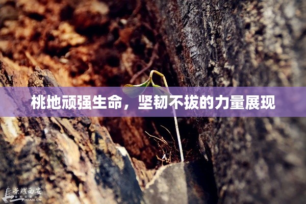 盖世英雄 第3页