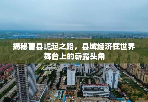 揭秘曹县崛起之路,县域经济在世界舞台上的崭露头角