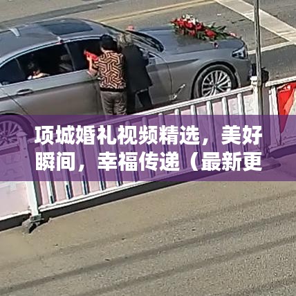 项城婚礼视频精选,美好瞬间,幸福传递(最新更新)
