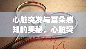 心脏突发与耳朵感知的奥秘,心脏突发时耳朵感知的变化探讨