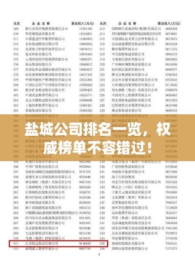盐城公司排名一览,权威榜单不容错过!
