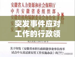 突发事件应对工作的行政领导机关及其作用，全面解析与深度解读