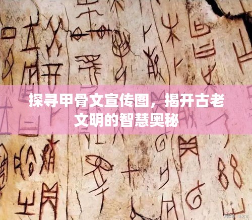 探寻甲骨文宣传图，揭开古老文明的智慧奥秘