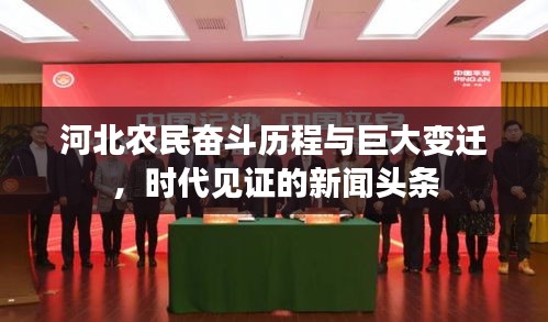 河北农民奋斗历程与巨大变迁,时代见证的新闻头条