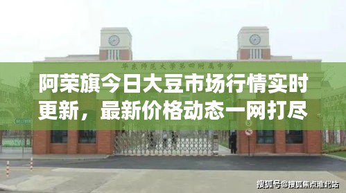 阿荣旗今日大豆市场行情实时更新,最新价格动态一网打尽