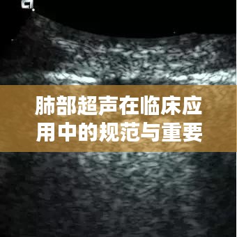 肺部超声在临床应用中的规范与重要性探索